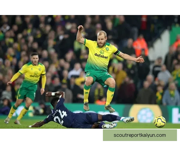 诺维奇近十年升降级频繁，持续展现英冠英超间“升降机”走势